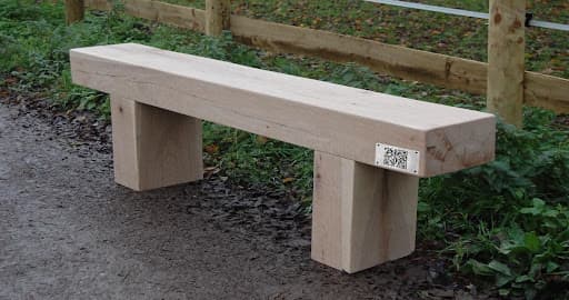 Poplar Bench